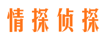 抚远市侦探调查公司